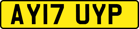 AY17UYP