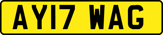 AY17WAG