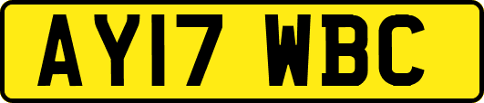 AY17WBC