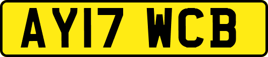AY17WCB