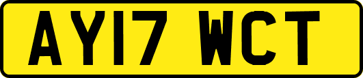 AY17WCT