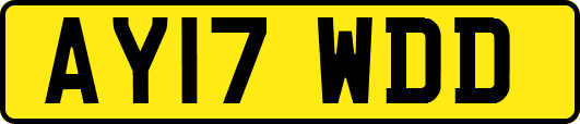 AY17WDD
