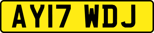 AY17WDJ