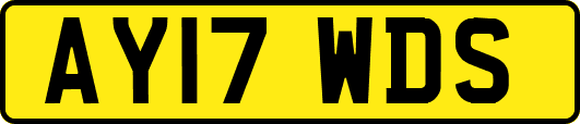 AY17WDS