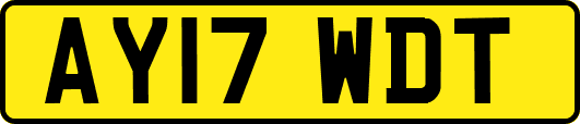 AY17WDT