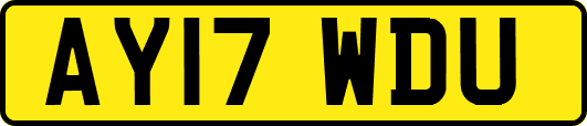 AY17WDU