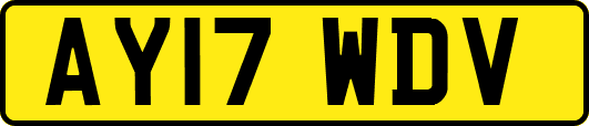 AY17WDV