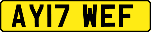 AY17WEF