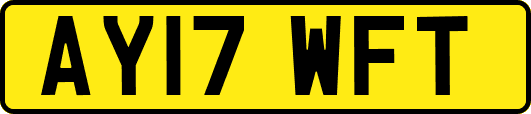 AY17WFT