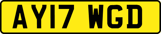AY17WGD