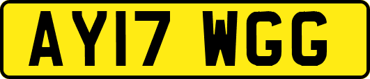 AY17WGG