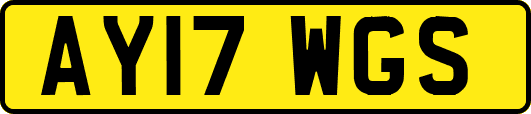 AY17WGS