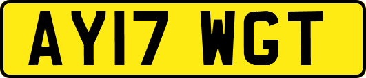 AY17WGT