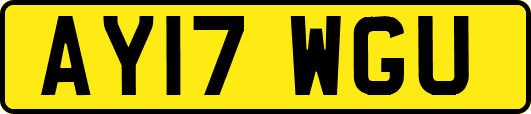 AY17WGU