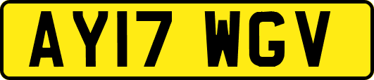 AY17WGV