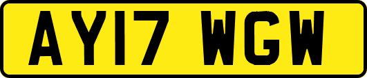 AY17WGW