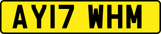 AY17WHM