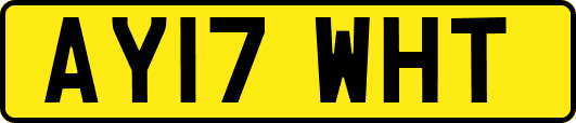 AY17WHT
