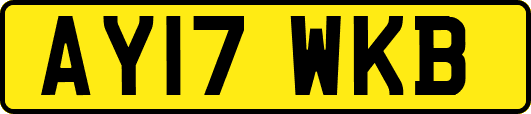 AY17WKB