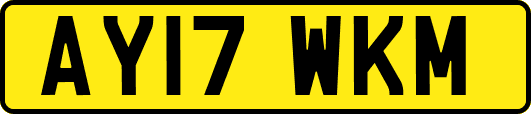 AY17WKM