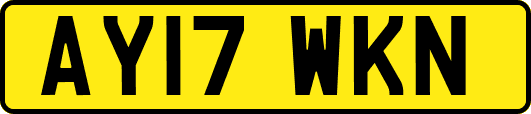 AY17WKN