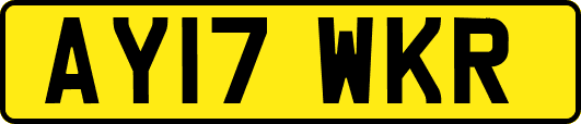 AY17WKR