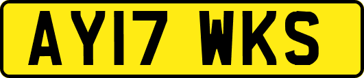 AY17WKS
