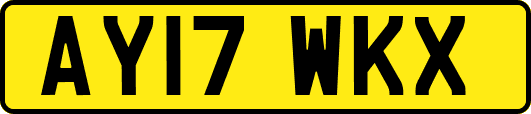 AY17WKX