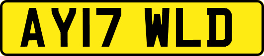 AY17WLD