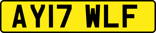 AY17WLF
