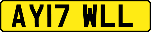 AY17WLL