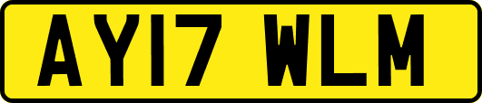 AY17WLM