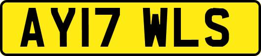 AY17WLS