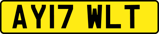 AY17WLT