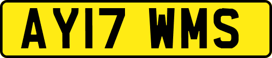 AY17WMS