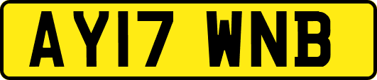 AY17WNB