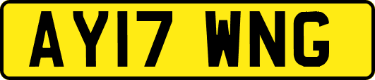 AY17WNG