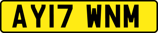 AY17WNM