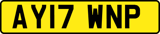 AY17WNP