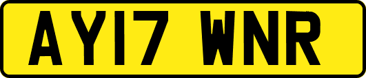 AY17WNR