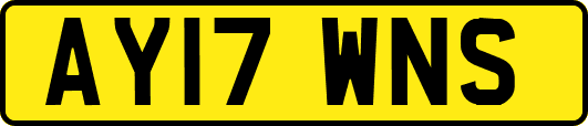 AY17WNS