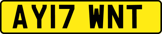 AY17WNT