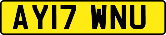AY17WNU