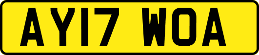 AY17WOA