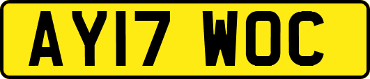 AY17WOC