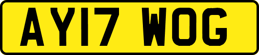 AY17WOG