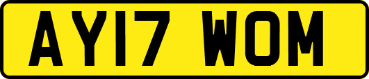 AY17WOM