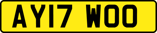 AY17WOO