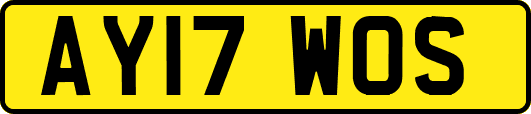AY17WOS