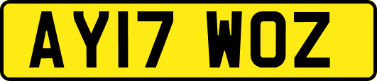 AY17WOZ
